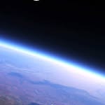 @walter_otter2 - Instagram
