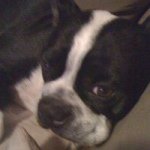 Walter Owens - @w_h_owen - Instagram