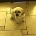 Walter Owens - Facebook