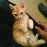 Walter Owens - @owens6030 - Instagram