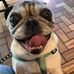 Walter Pack - Facebook