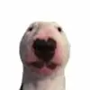 Walter - @walter_packs - TikTok