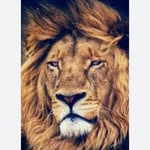 Tony Peak - @walterpeak41 - Instagram