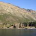 Walter Peak High Country Farm - Facebook