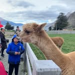 @walterpeakk - Instagram