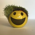 Walter Pennington - @walter_pennington - Instagram