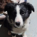 Walter Pepper - @walter.puepper - Instagram