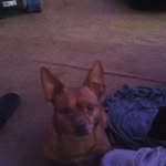 Walter Perkins - @walter.perkins.5245 - Instagram