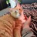 Walter Perkins - Facebook
