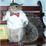 Walter Perkins - @walterthesquirrel1337 - Instagram