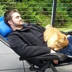 Walter Petersen - @petersen.walter - Instagram