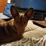 Walter Peyton Coupland - @walter.peyton - Instagram