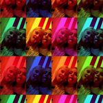 Mona Pfaff - @walterpfaff669 - Instagram