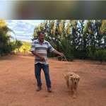 Walter Pires - @walter.pires.334 - Instagram