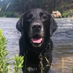 Walter Plummer - @wayward_walter - Instagram