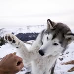 Walter Polverino - @walter.polverino - Instagram