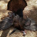 Walter David Potts - @w.d.potts - Instagram