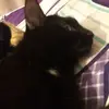 walter pou - @walter.pou3 - TikTok