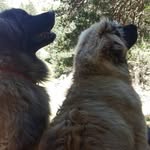 Walter Poupat - @walterpoupat - Instagram