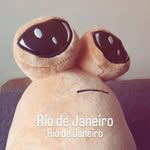 Walter - @walter_poul - Instagram