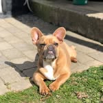 Walter&Carlo - @walter_poulsen - Instagram