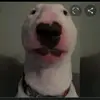 walter power - @._.walter69 - TikTok
