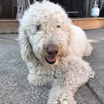 Walter Preston - @wallypreston15 - Instagram