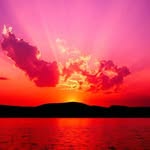 Walter Preston - @wpjr47 - Instagram