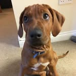 Walter Priest - @wally.priest - Instagram