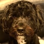 Walter Purcell - @walterpurcell7 - Instagram