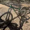 Walter Purcell - @walter.purcell4 - TikTok