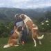 Walter Mauricio Alvarado Quesada - Facebook