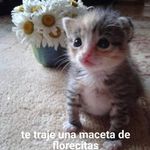 Walter Rafael A. Castillo - @a.rafaelvkv - Instagram