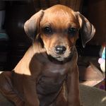 @walter_rambo_of_course - Instagram