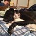 Walter Ramey - Facebook