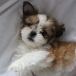 Walter Jeffrey Randall - @walterjeffreyrandall - Instagram