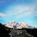 Walter Raudaschl - @walterraudaschl - Instagram