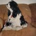 Walter Rayburn - Facebook