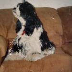 Walter Rayburn - @walterrayburn - Instagram