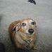 Walter Rector - Facebook