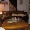walterrex6 - @walterrex6 - TikTok