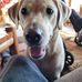 Walter Rhoades - Facebook