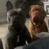 Walter Norman & Ridge - @bwochner - TikTok