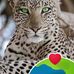 Walter Riedel - Facebook
