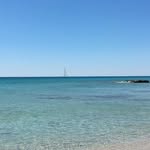 walter rinaldi - @rinaldi996 - Instagram