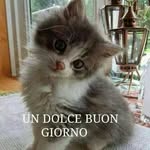 Walter Rinaldi - @walter.rinaldi.716 - Instagram