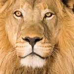 Walter Rinaldi - @walter.rinaldi.144 - Instagram