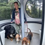 Walter Rinaldi - @wrinaldi1955 - Instagram