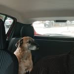 Walter Rinaldi - @walterhumbertorinaldi - Instagram