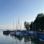 ringo Walter - @ringowalter7 - Instagram